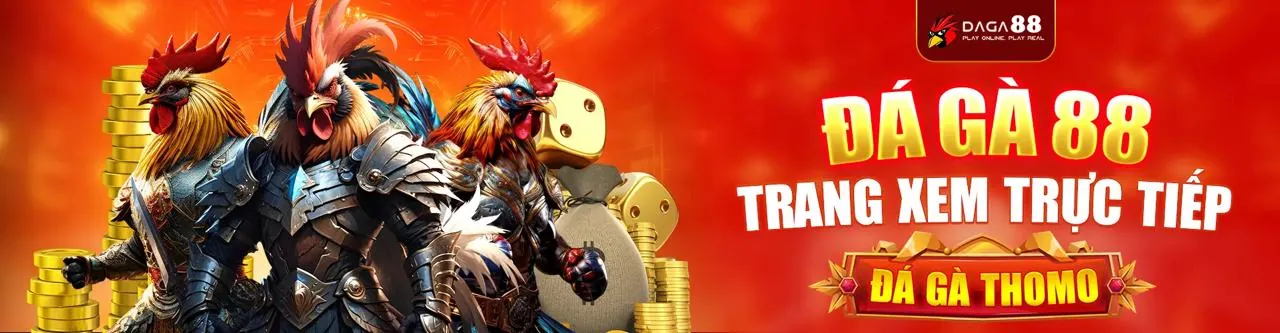 Đá gà trực tuyến sôi động tại Benvip Nổ Hũ